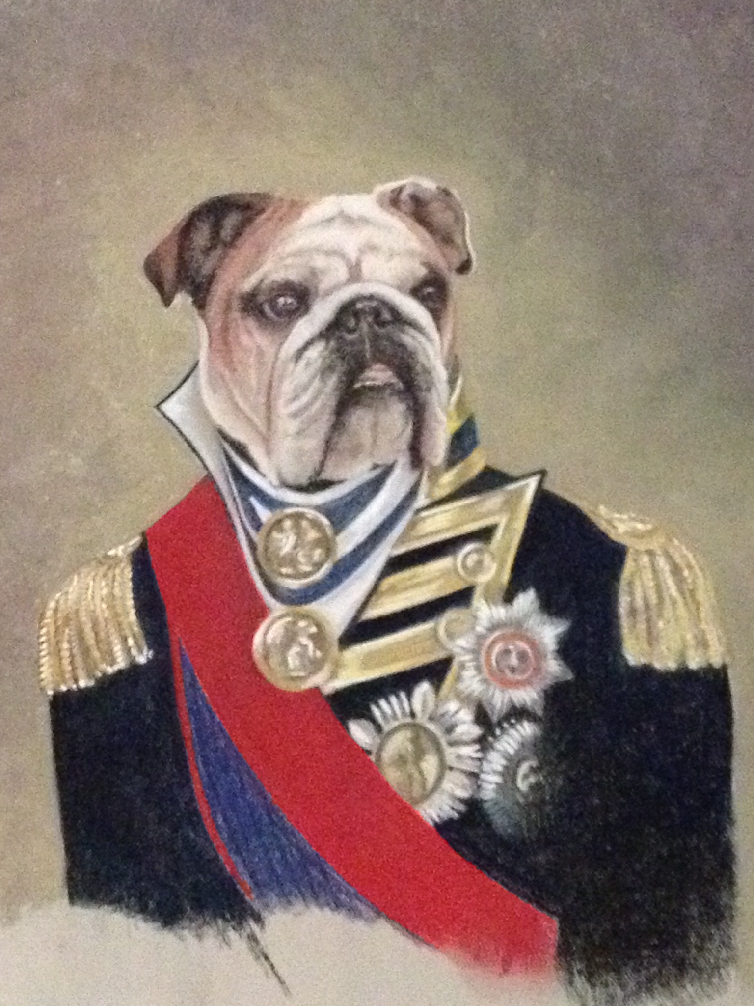 Admiral Bouncer by Karen Richards