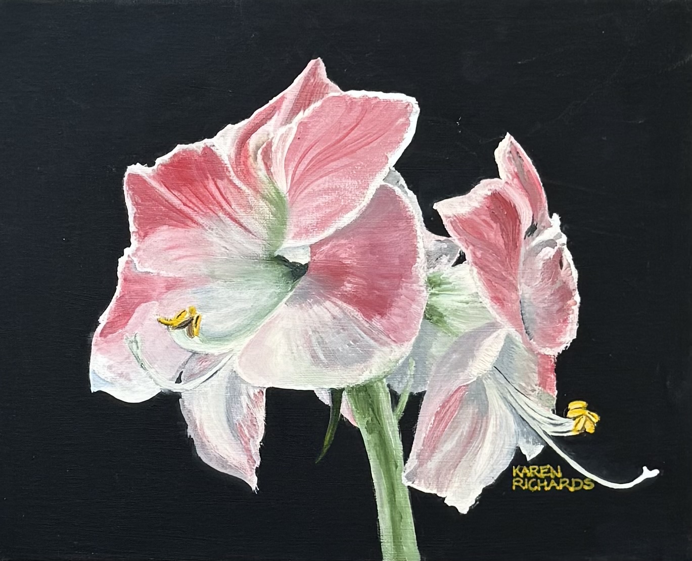 Click here to view Amaryllis  by Karen Richards