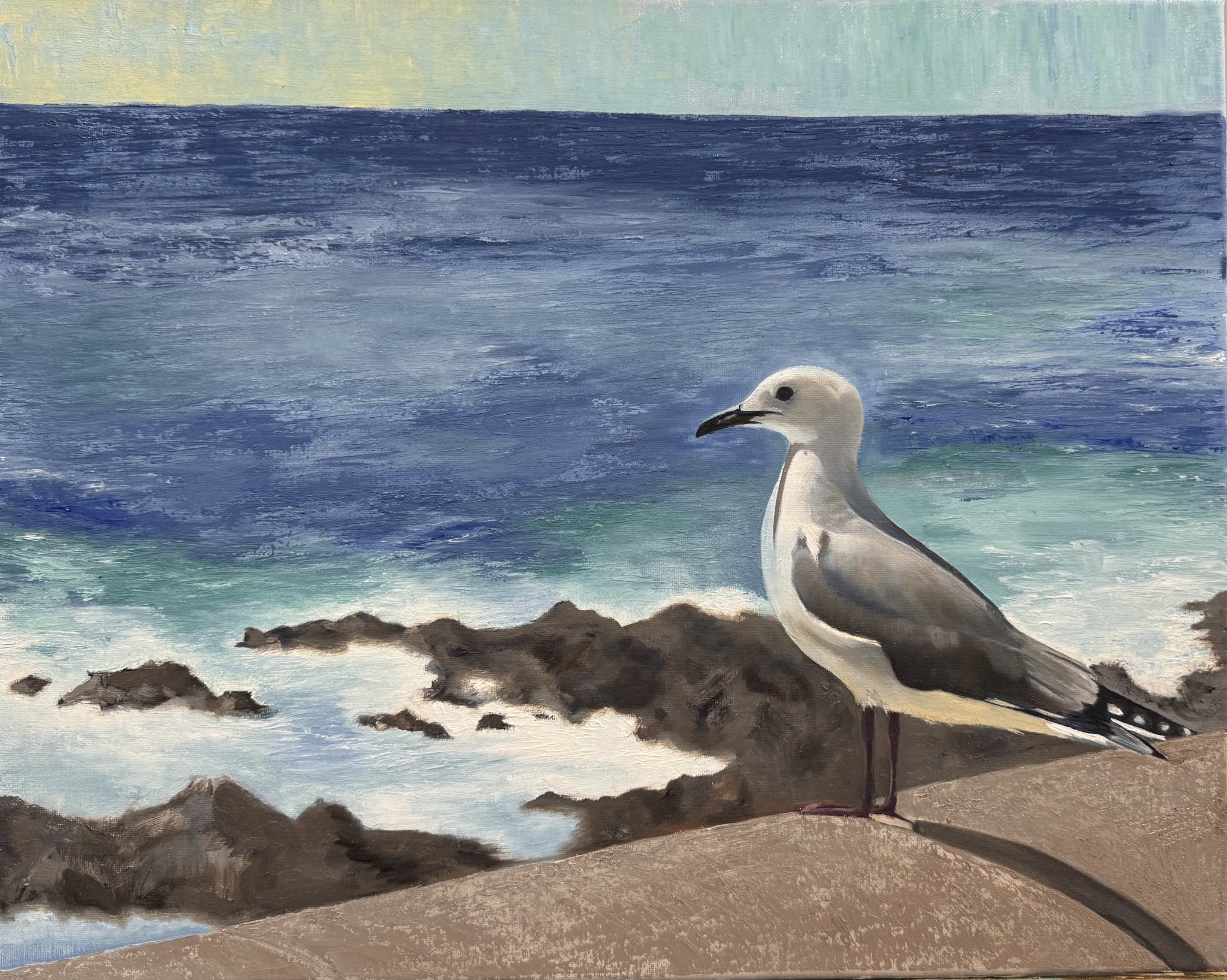 The Seagull’s name was Nelson by Karen Richards