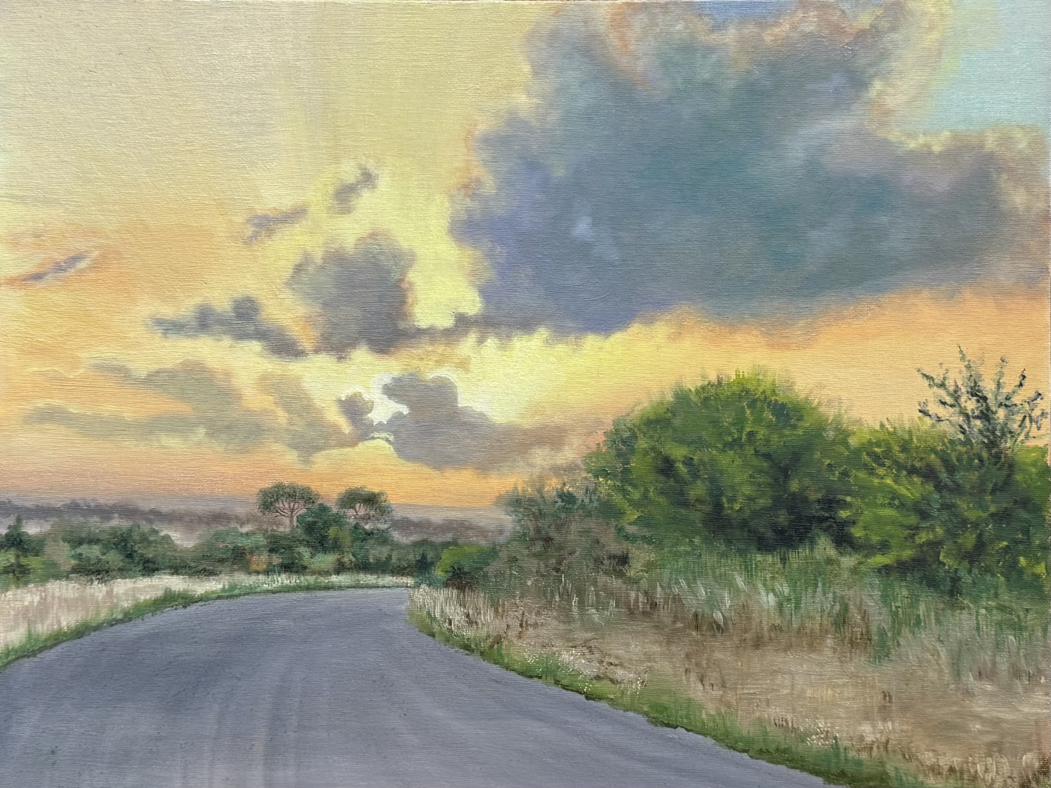 Click here to view Lowveld Sunrise by Karen Richards