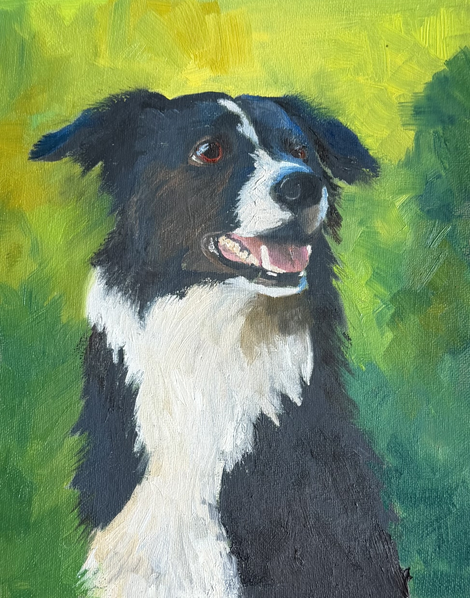 Seamus by Karen Richards